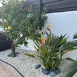 Kallista Villa Pissouri