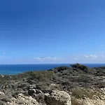 Kallista