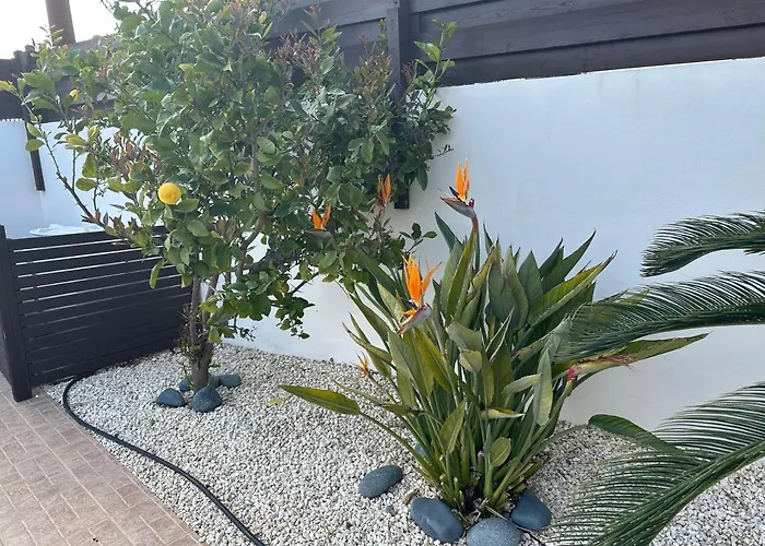 Kallista Villa Pissouri